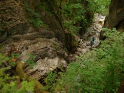 2013-07-20_Regina-F-Rau_Kochel-Rabenkopf (063).JPG